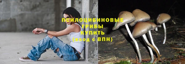 скорость Алзамай