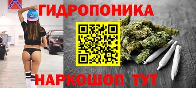 прущие грибы Усть-Илимск