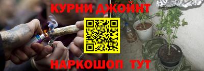 прущие грибы Усть-Илимск