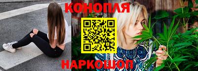 прущие грибы Усть-Илимск