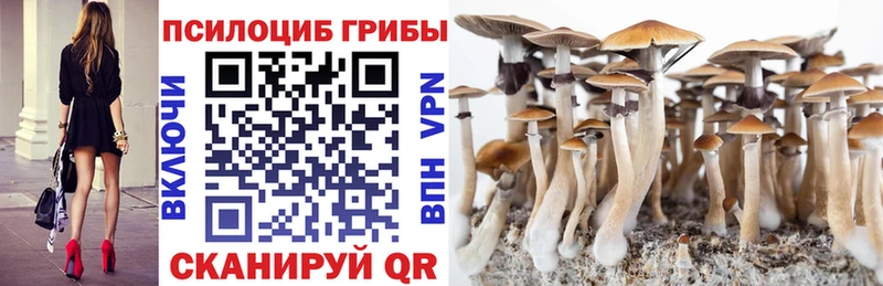 Псилоцибиновые грибы мицелий Обнинск